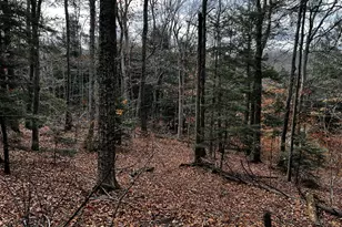 Lot 83 Moberg Rd, Becket, MA 01223 - Photo 1