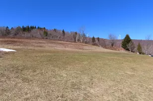 Moores Rd, Florida, MA 01247 - Photo 1