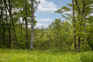 Lot 7 New Marlborough Hill Rd, New Marlboro, MA 01230 - Photo 1