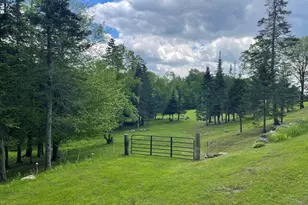 1130 Main Rd, Savoy, MA 01256 - Photo 1