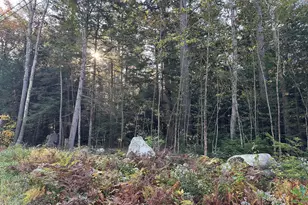 Hopkins Ln, Becket, MA 01223 - Photo 1