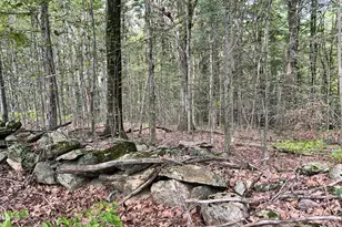 Lot 3 0 Rood Hill Rd, Sandisfield, MA 01255 - Photo 1