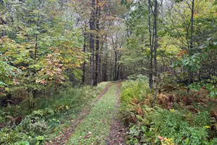 10 Brookside Rd, Peru, MA 01235 - Photo 1