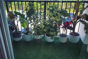 519 Villa Cir, Boynton Beach, FL 33435 - Photo 7