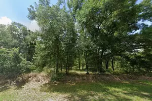 Tbd Sr 40, Dunnellon, FL 34432 - Photo 1