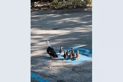 4863 Via Palm Lakes #812, West Palm Beach, FL 33417 - Photo 25