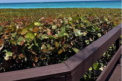 170 Celestial Way #3-2, Juno Beach, FL 33408 - Photo 5