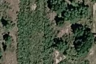 15030 NW 258th St, Okeechobee, FL 34972 - Photo 1
