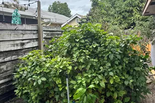 14539 Wood Pine Dr, Delray Beach, FL 33445 - Photo 29