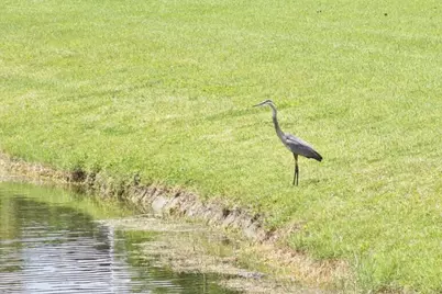 259 Sheffield K #259, West Palm Beach, FL 33417 - Photo 31