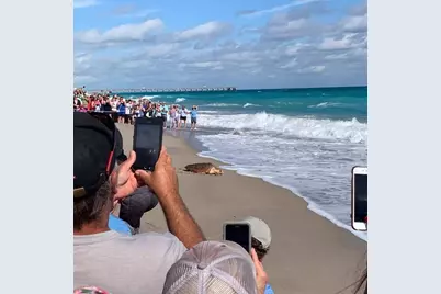 1701 Mizzenmast Way, Jupiter, FL 33477 - Photo 61