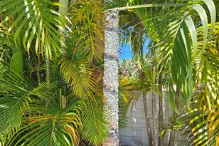 1906 S Ocean Dr, Fort Pierce, FL 34949 - Photo 29