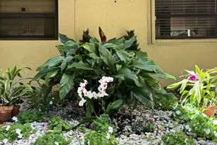 112 Lake Emerald Dr, Oakland Park, FL 33309 - Photo 21