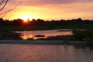 3118 Verdmont Ln, Wellington, FL 33414 - Photo 29