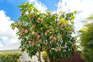 22359 Sea Bass Dr, Boca Raton, FL 33428 - Photo 23