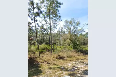 0 Gaillardia Drive, Indian Lake Estates, FL  - Photo 3