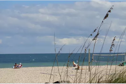 11124 Hotchkiss Drive #A, Sebastian, FL 32958 - Photo 47