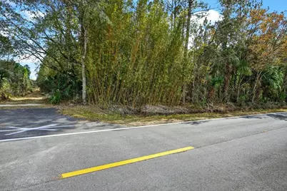 0 Old Haw Creek Road, Bunnell, FL 32110 - Photo 25