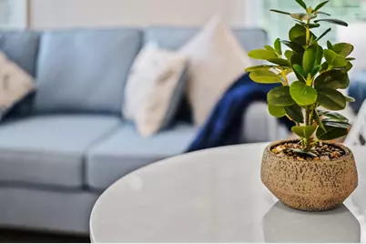 802 N Federal Highway #Unit 2, Boynton Beach, FL 33435 - Photo 5