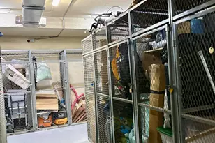 4201 N Ocean Blvd, Boca Raton, FL 33431 - Photo 31