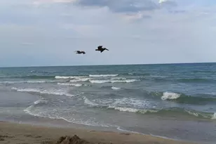 9960 S Ocean Dr, Jensen Beach, FL 34957 - Photo 19