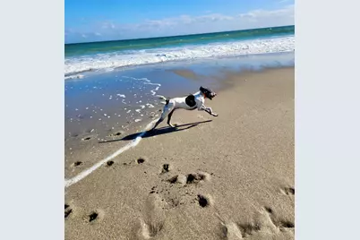 1605 S US Highway 1 #14e, Jupiter, FL 33477 - Photo 33