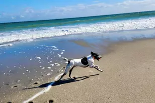 1605 S US Hwy 1, Jupiter, FL 33477 - Photo 33