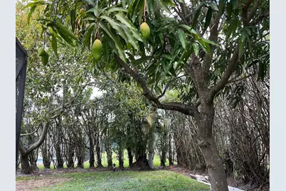 1250 SW 15th Avenue #1250, Boca Raton, FL 33486 - Photo 27