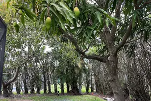 1250 SW 15th Ave, Boca Raton, FL 33486 - Photo 27