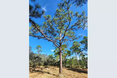 3417 State Rte 66, Sebring, FL 33875 - Photo 3