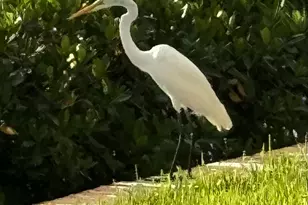 4440 NE Sandpebble Trce, Stuart, FL 34996 - Photo 51