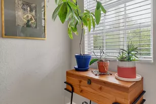 355 E Thatch Palm Cir, Jupiter, FL 33458 - Photo 21