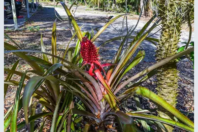 14344 N Road, Loxahatchee Groves, FL 33470 - Photo 39