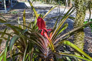 14344 N Rd, Loxahatchee Groves, FL 33470 - Photo 39