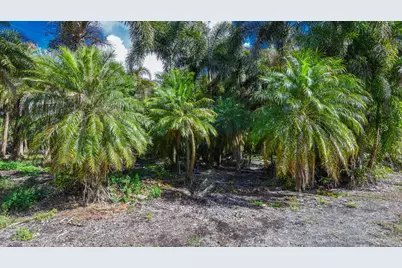 14344 N Road, Loxahatchee Groves, FL 33470 - Photo 35