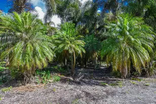 14344 N Rd, Loxahatchee Groves, FL 33470 - Photo 35