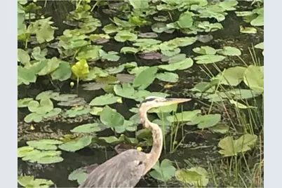 12770 Sugar Creek Drive, West Palm Beach, FL 33418 - Photo 15