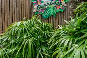 275 Palm Ave, Jupiter, FL 33477 - Photo 31