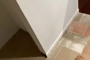 720 L A Kirksey St, West Palm Beach, FL 33401 - Photo 3