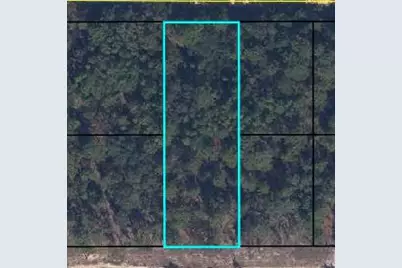 6183 Juilliard Avenue, Keystone Heights, FL 32656 - Photo 1