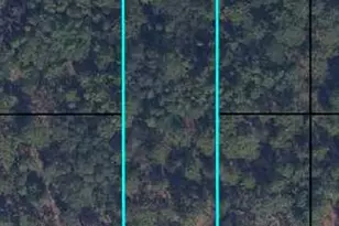 6183 Juilliard Ave, Keystone Heights, FL 32656 - Photo 1