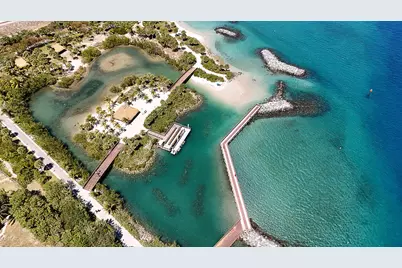 176 E 24th Street, Riviera Beach, FL 33404 - Photo 29