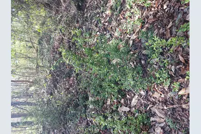 000 158 Lane, Dunnellon, FL 32024 - Photo 3