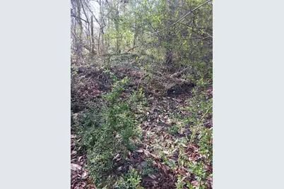 000 158 Lane, Dunnellon, FL 32024 - Photo 1