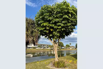 115 Camden E, West Palm Beach, FL 33417 - Photo 19