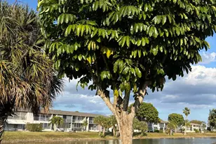 115 Camden E, West Palm Beach, FL 33417 - Photo 19