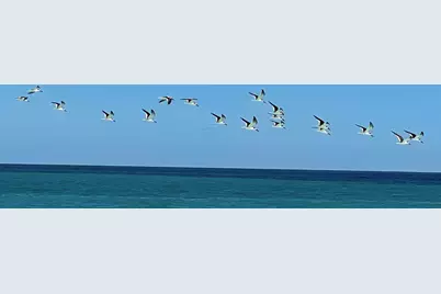 00 Coral Circle, Fort Pierce, FL 34949 - Photo 5