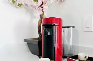 2316 Freedom St, Hollywood, FL 33020 - Photo 9