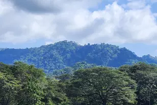 45 Sol Dorado St, Mission, TX - Photo 13