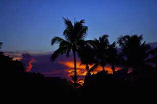 8404 Chapman Oak Ct, Palm Beach Gardens, FL 33410 - Photo 35